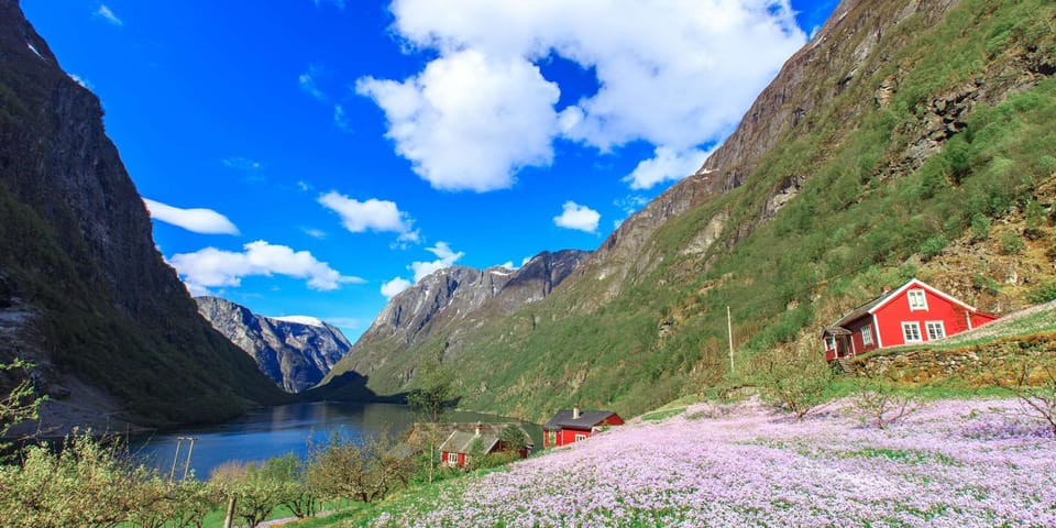 Bergen: Nærøyfjord, Flåm, and Stegastein Guided Bus Tour - Scenic Experiences