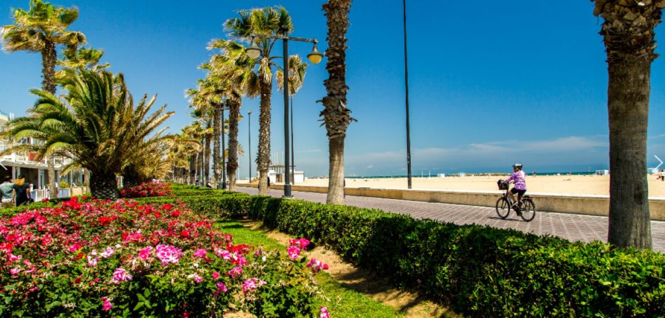 Best of Valencia: Highlights With Private Transport and Top - Itinerary Highlights