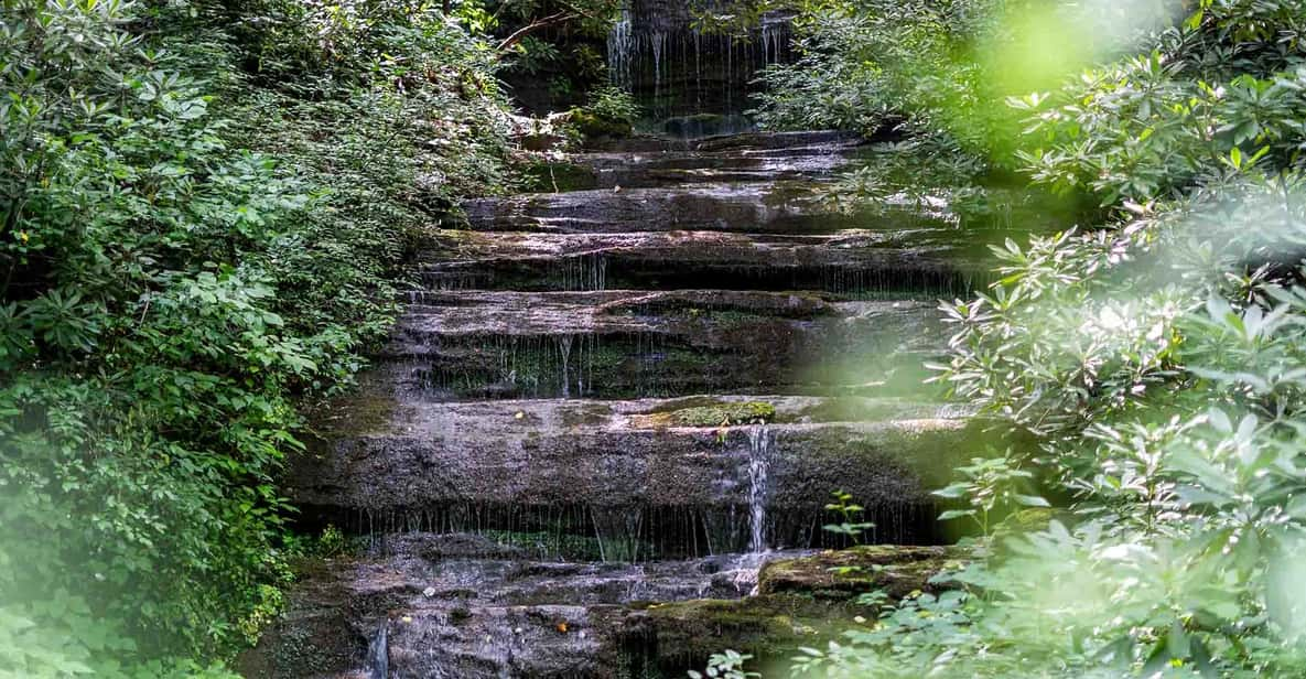 Beyond Asheville Waterfall Tour - Experience Details