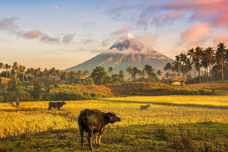 Bicol Mayon Volcano Easy Trek (Shared Tour) - Inclusions