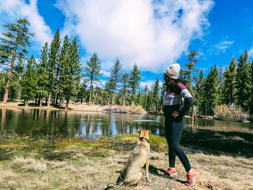 Big Bear: Family-Friendly Nature Walk W Hot Chocolate - Booking and Cancellation Policy