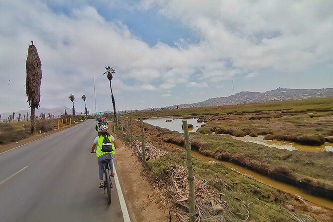 Bike Tour Discovering the Nature and History of Lima - Los Pantanos De Villa Wildlife Refuge
