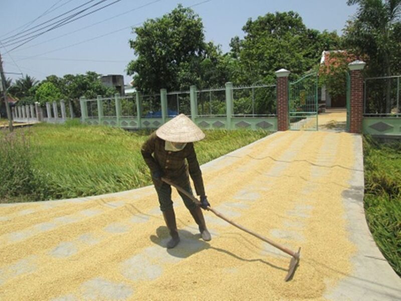 Biking Tour: Nha Trang Countryside - Detailed Itinerary