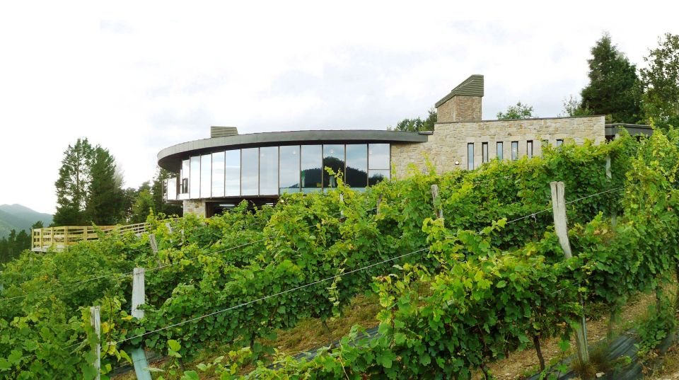 Bilbao: Organic Winery Visit With Tasting - Wine and Food Pairing