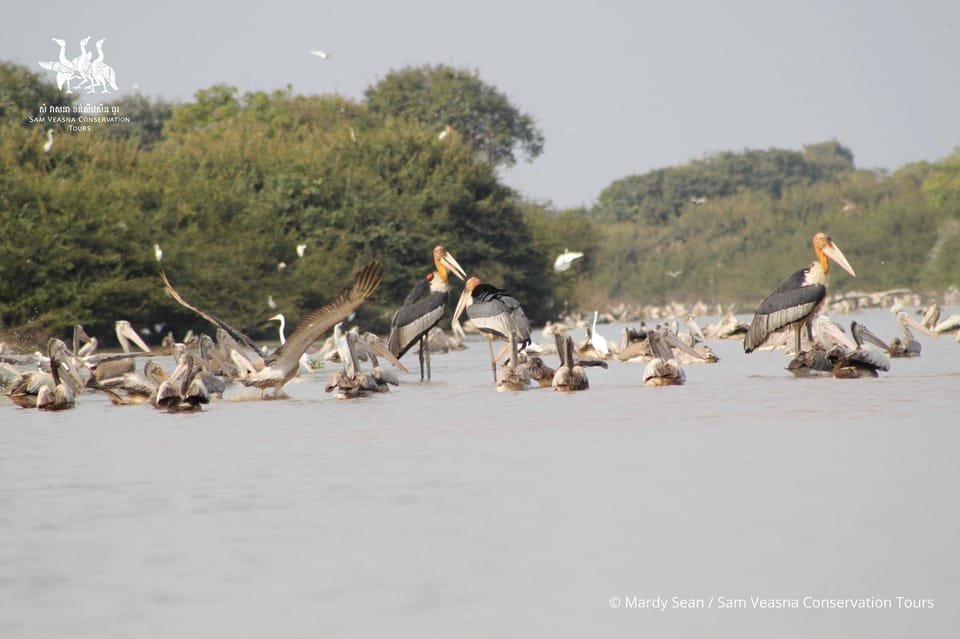 Bird Watching at Prek Toal Tonlé Sap Lake Biosphere Reserve - Detailed Itinerary