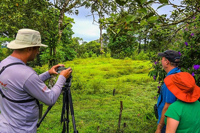 Bird Watching Near the Arenal Volcano - Birdwatching Experience