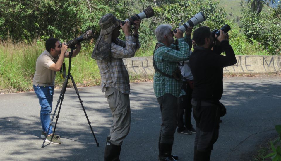 Birding Colombia: 8 Days of Birds Wonders in Valle Del Cauca - Tour Highlights