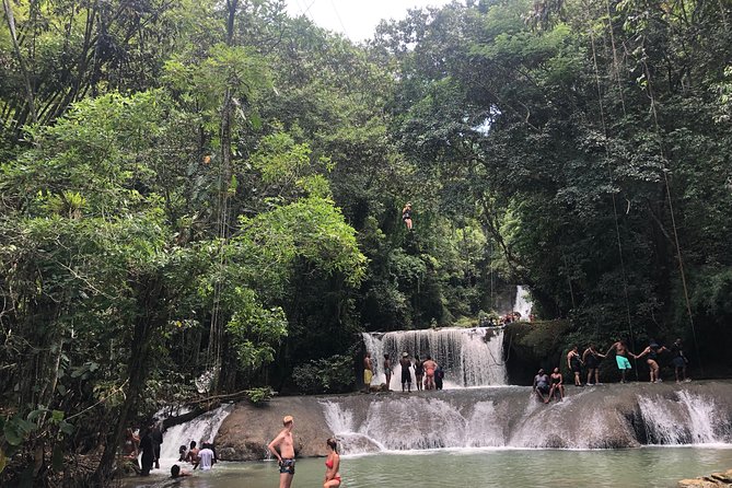 Black River Safari and YS Falls - Pricing Details and Inclusions
