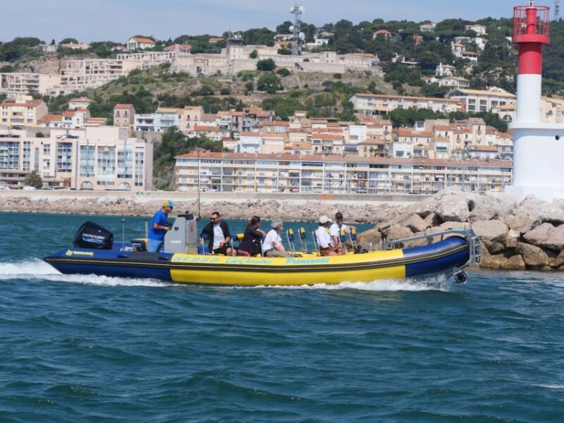 Boat Walk in Sete on the Singular Island 1 Hour - Booking Process