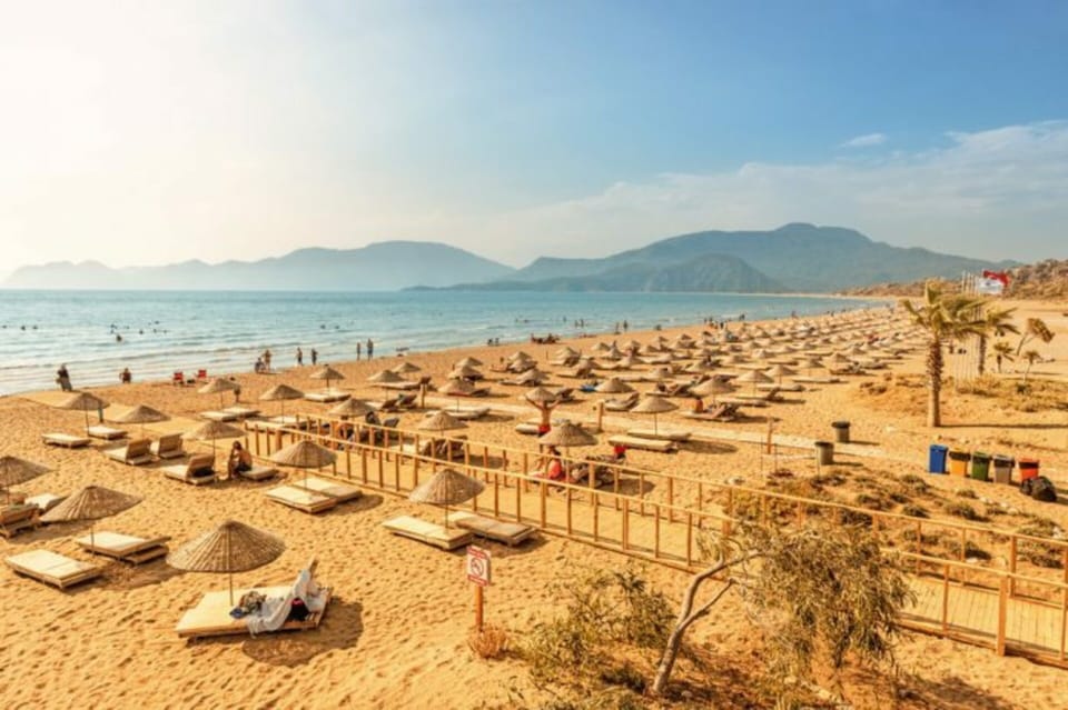 Bodrum: Dalyan Mud Baths & Iztuzu Beach Day Trip With Lunch - Included Services