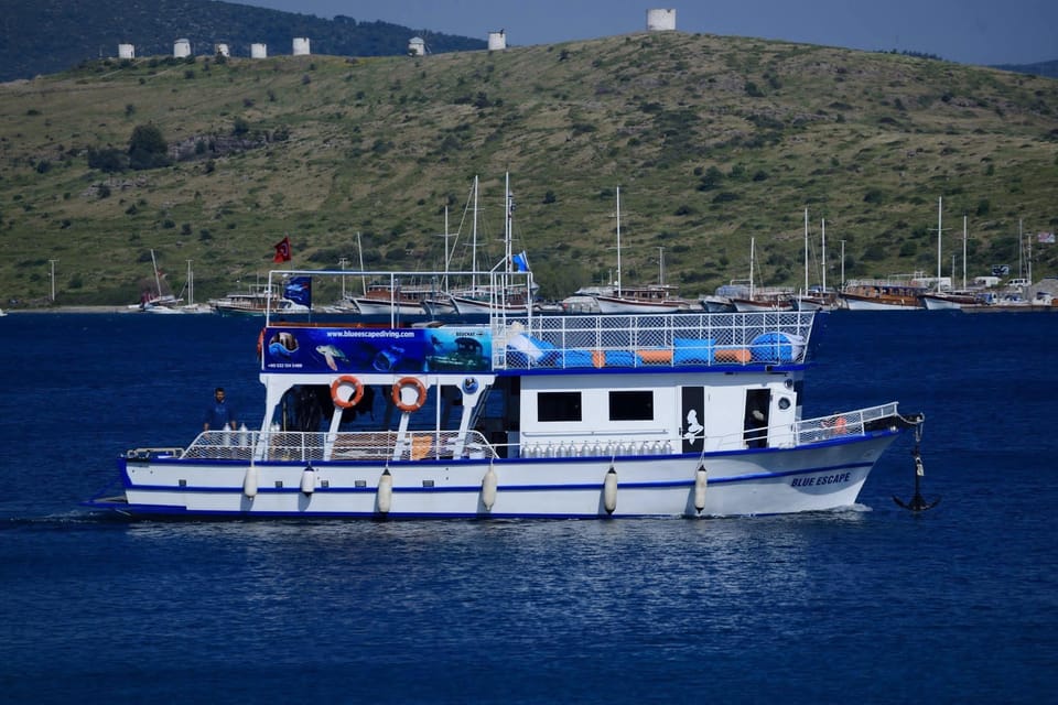 Bodrum Diving Day for Advanced and Beginner Divers - Experience for Advanced Divers