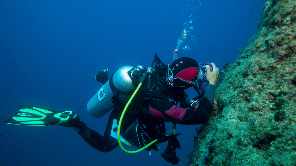 Bodrum: Scuba Diving Experience - Inclusions of the Experience