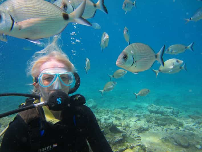 Bodrum: Scuba Diving Trip With Lunch - Included Services and Amenities