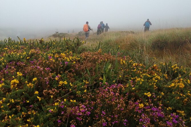 Bog Safari Hike - Accessibility and Fitness Levels