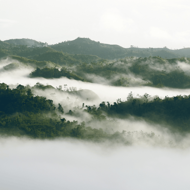 Bohol: Danao Adventure With the Plunge - Sky Ride: Panoramic Views