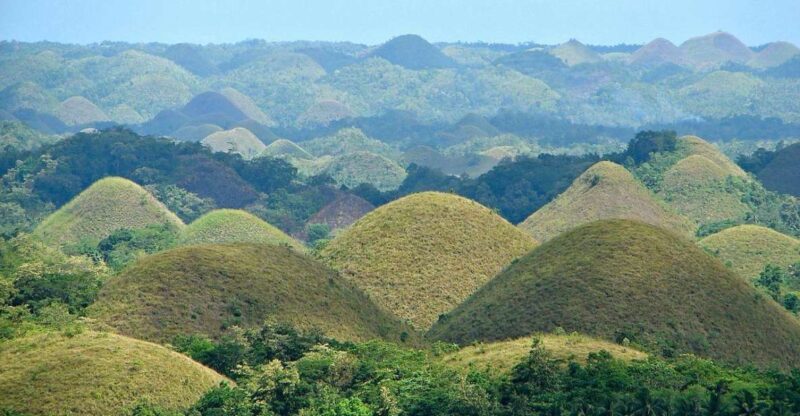 Bohol Day Tour From Cebu - Transportation and Pickup Details