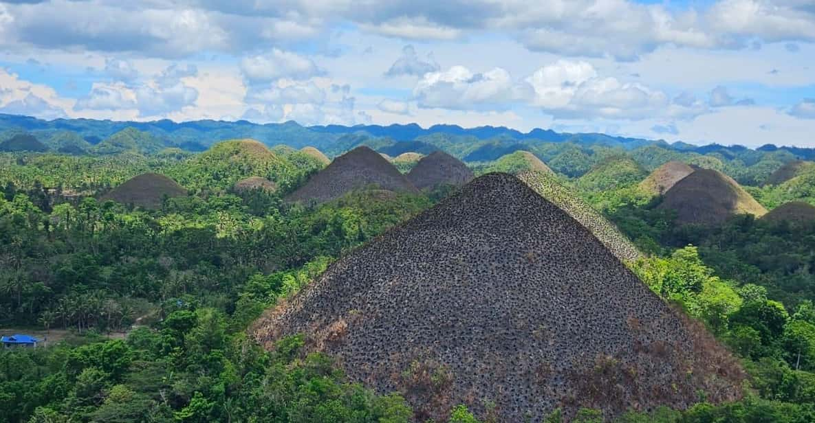 Bohol: From Snorkeling With Whale Sharks to Chocolate Hills. - Wildlife and Natural Attractions