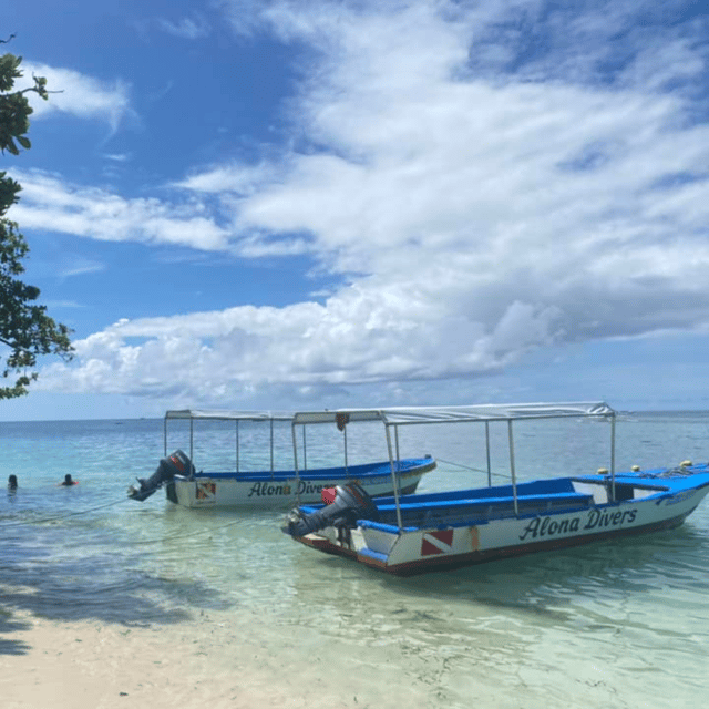 Bohol: Pamilacan Island Fun Dive Experience! - Important Information for Participants