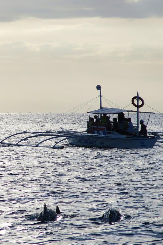 Bohol: Private Balicasag Tour With Extra Snorkeling Time - Marine Experience