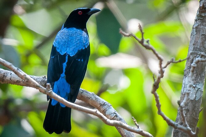 Bondla Wildlife Sanctuary With Lunch in Spice Plantation in Goa - Customer Experiences and Feedback