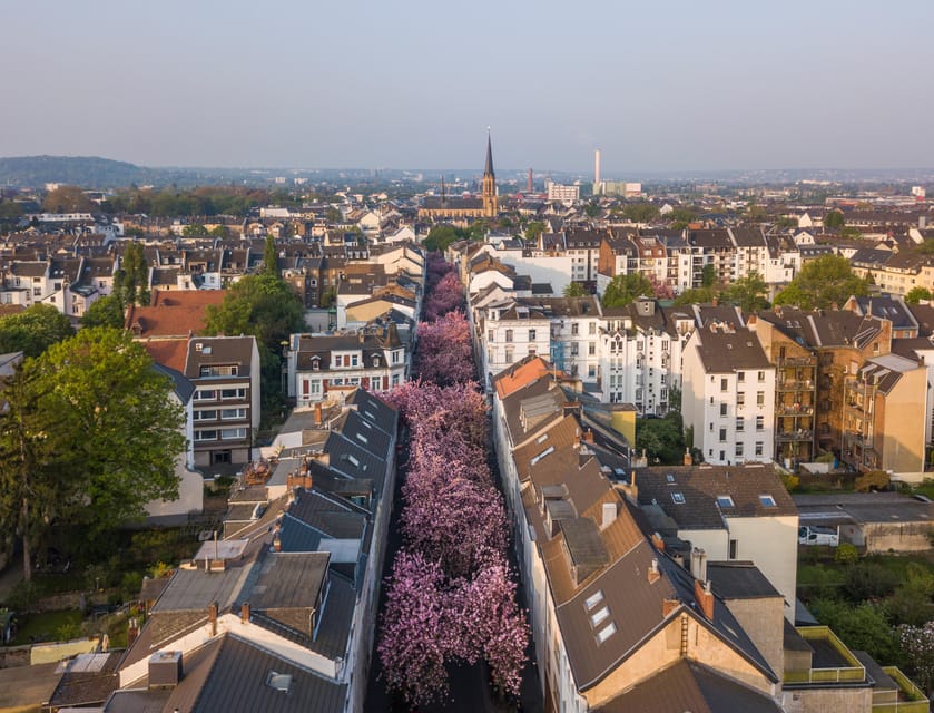 Bonn: Walking Tour With Audio Guide on App - Exploring Bonn at Your Pace