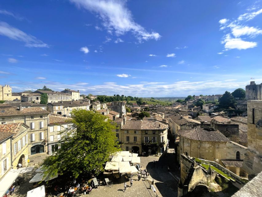 Bordeaux: St-Emilion Vineyards E-Bike Tour With Wine & Lunch - Inclusions and Exclusions