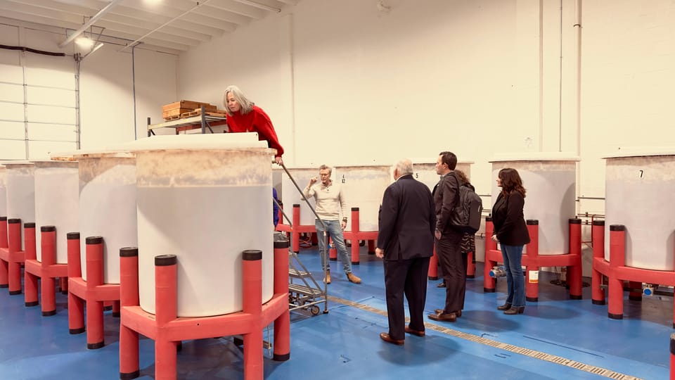 Bourbon Barrel Foods Tour and Taste - Sampling Bourbon-Inspired Cocktails