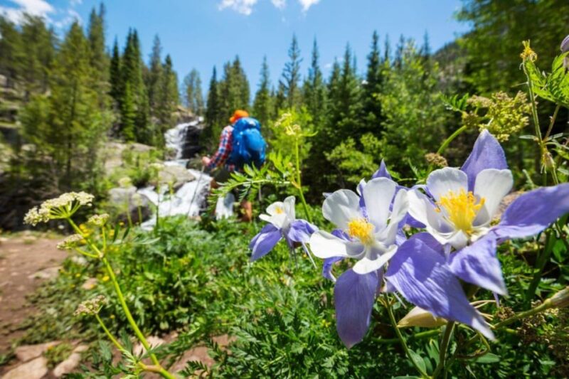 Breckenridge, CO: Half-Day Guided Scenic Hike - Hiking Trails and Scenery