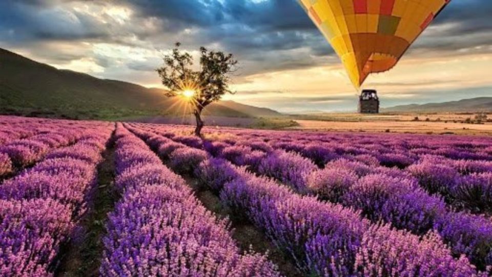 Brihuega: Balloon Flight Above Lavender Fields - Aerial Views of Lavender