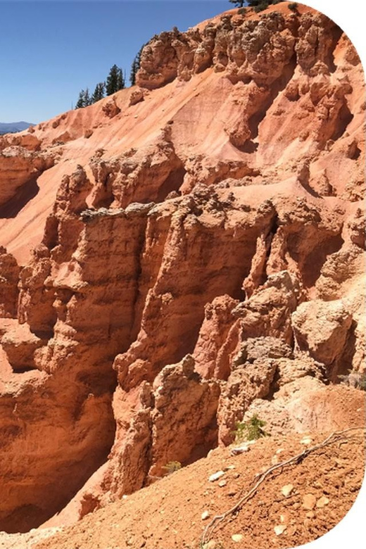 Bryce Canyon: 2-Hour 4-Seat Side-by-Side OHV Rental - Safety Features