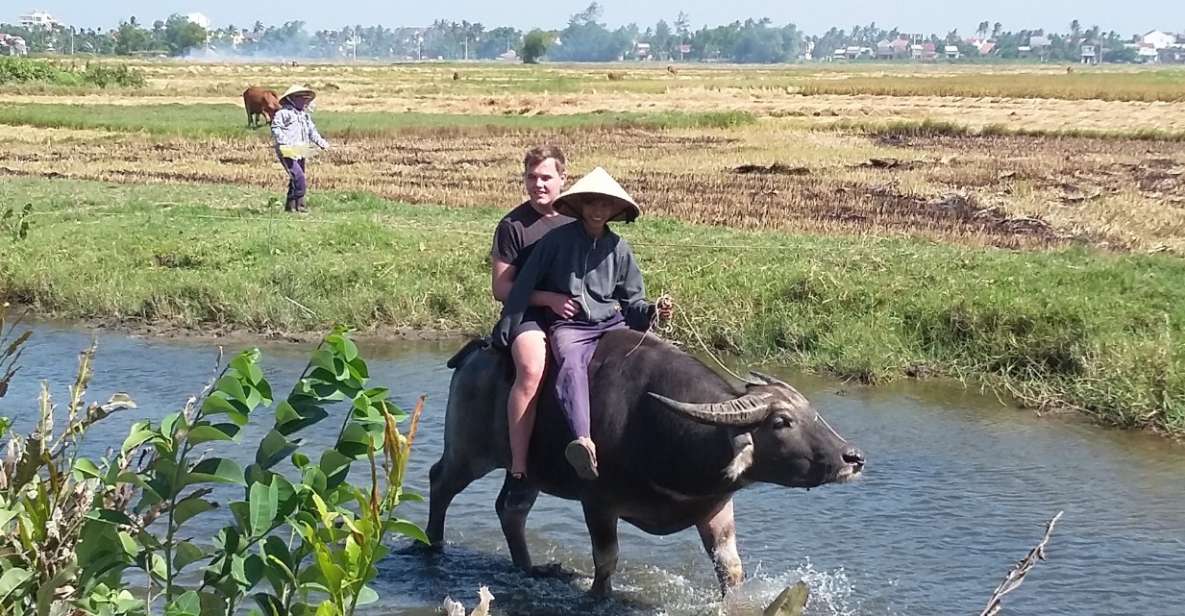 BUFFALO RIDING ADVENTURE AND BASKET BOAT TOUR - Highlights and Experiences