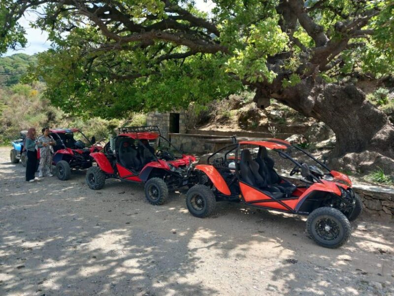Buggy Safari Half Day 4 Hours 4 Hours ( Hersonissos -Malia) - Safety and Requirements