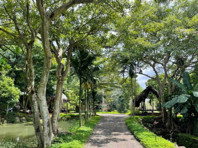 Buon Ma Thuot - Private Tour - Cultural Experiences in Buon Ma Thuot