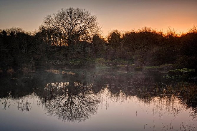 Burren Nature Sanctuary - Family-Friendly Activities
