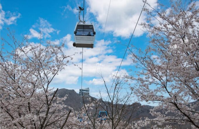 Busan: A1.Hidden Gem Geoje & Oedo Botania Island& Cable Car - Tour Duration and Schedule