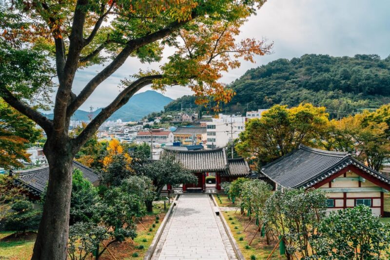 Busan to Tongyeong: Art, Markets, and Memorial Parks - Highlights of the Tour