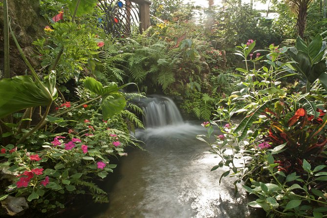 Butterfly Rainforest at Florida Museum of Natural History Ticket - Visitor Experience Highlights