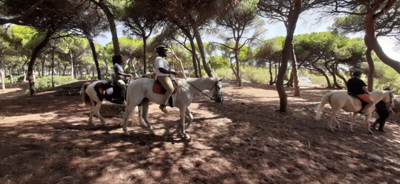 Cádiz Countryside: Ride an Andalusian Horse - Frequently Asked Questions