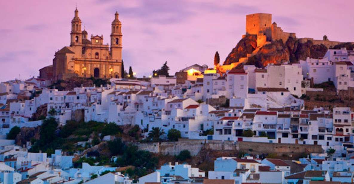 Cadiz, Jerez or El Puerto: White Towns of Andalusia Day Trip - Guided Tour Information