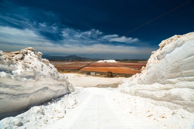 Cagliari: Conti Vecchi Salt Flats Train and Tour - Accessibility and Languages