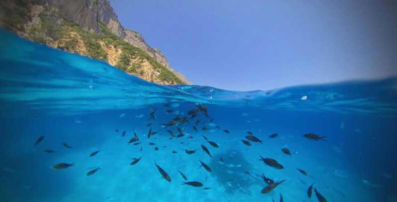 Cala Gonone: Dinghy Cruise With Aperitif - Experience Highlights of the Trip