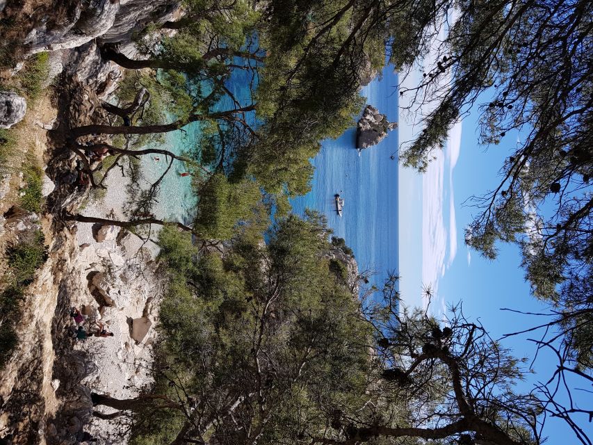 Calanques National Park: 6-Hour Hike - Whats Included