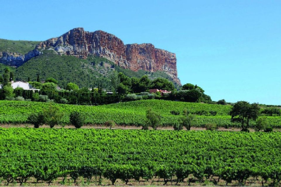 Calanques of Cassis, Aix-en-Provence & Wine Tasting Day Tour - Aix-en-Provence Experience