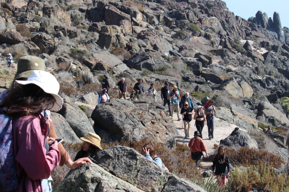 Caleta Los Hornos: Hiking Archaeological Sites - Hiking Experience Details