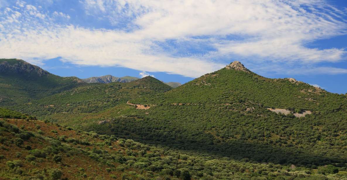 Calvi: Asco Valley 4x4 Day Tour With Guide - Tour Inclusions