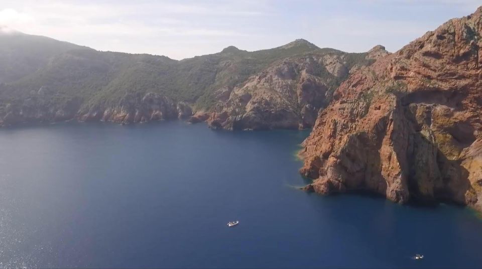 Calvi: Private Boat Tour of Scandola Nature Reserve - Highlights of the Experience