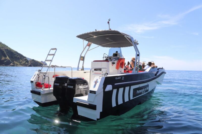 Calvi: Scandola and Girolata 6-Hour Boat Tour - Important Meeting Information