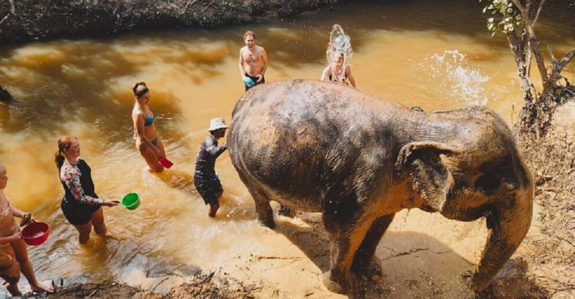 Cambodia Elephant Sanctuary and Banteay Srey Temple Tour - Experience Details