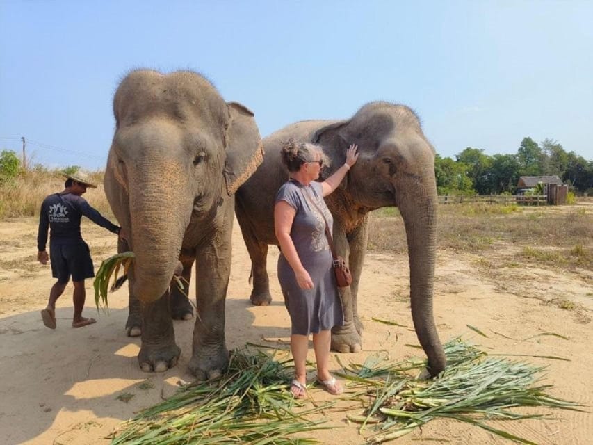 Cambodia Elephant Sanctuary and Banteay Srey Temple Tour - Transportation and Accessibility