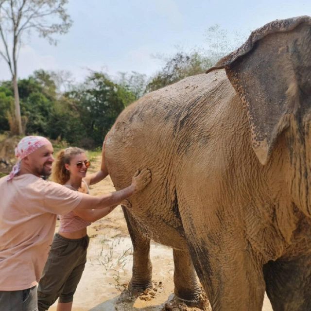 Cambodia Elephant Sanctuary and Banteay Srey Temple Tour - Experience Highlights